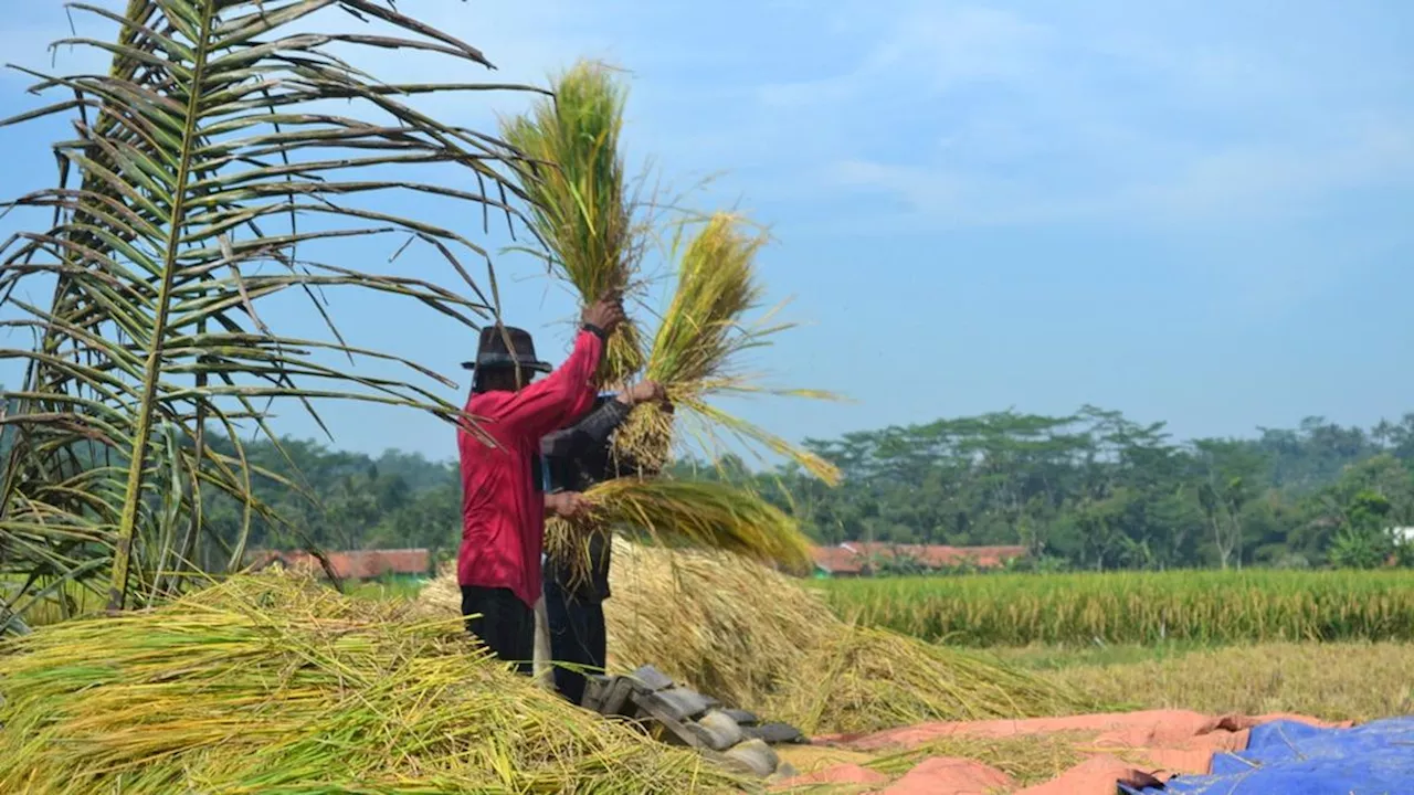 Prabowo Bakal Hapus Utang Petani hingga Nelayan, Begini Skemanya