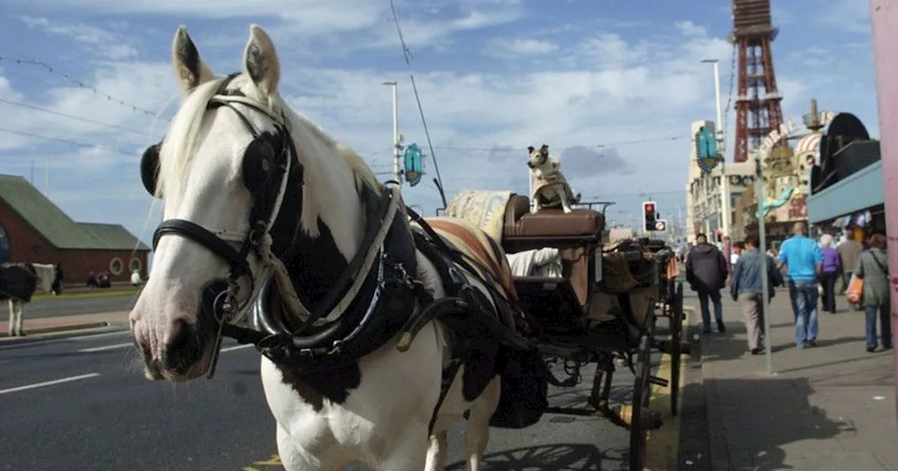 Landau stables plans refused by Blackpool Council