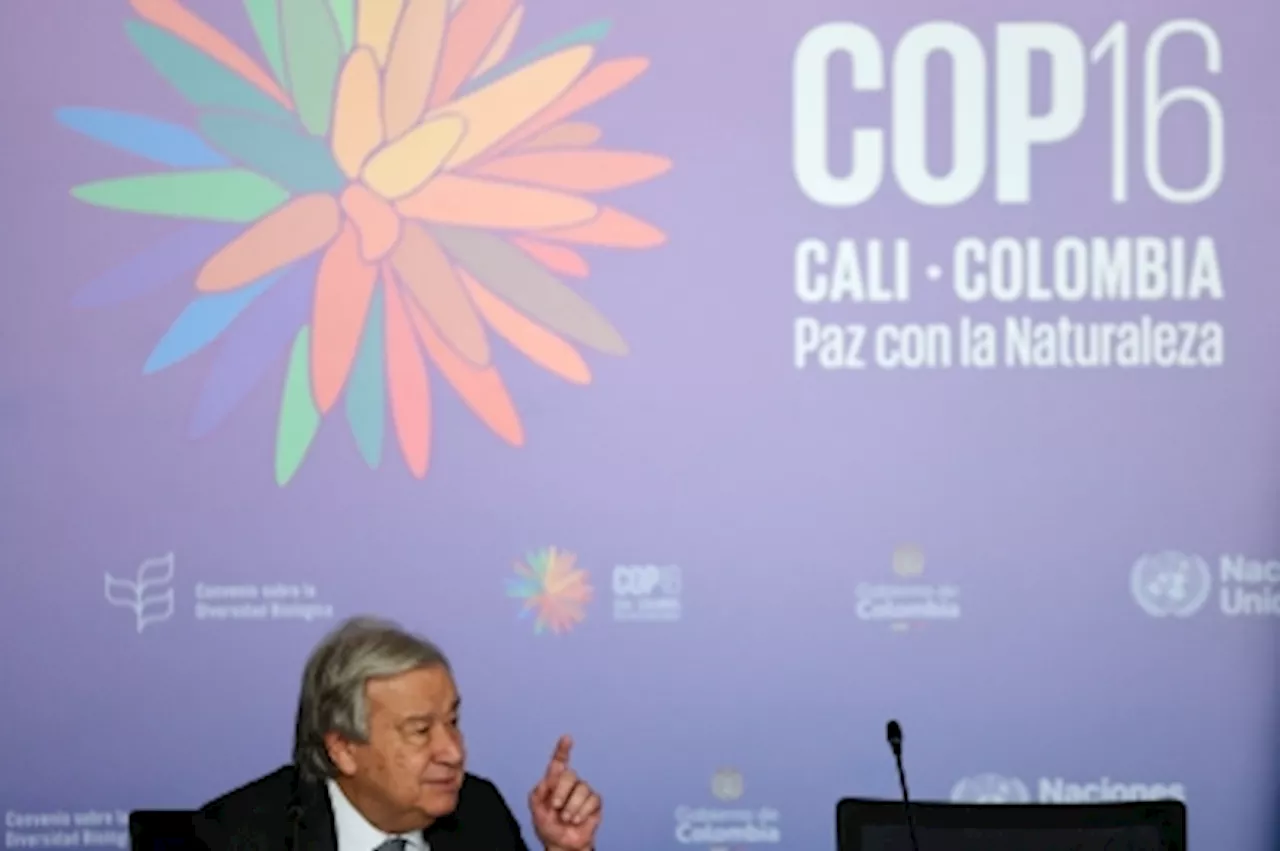 Amid global wars, UN chief calls for ‘peace among ourselves’ to halt Earth’s ‘existential crisis’ at COP16