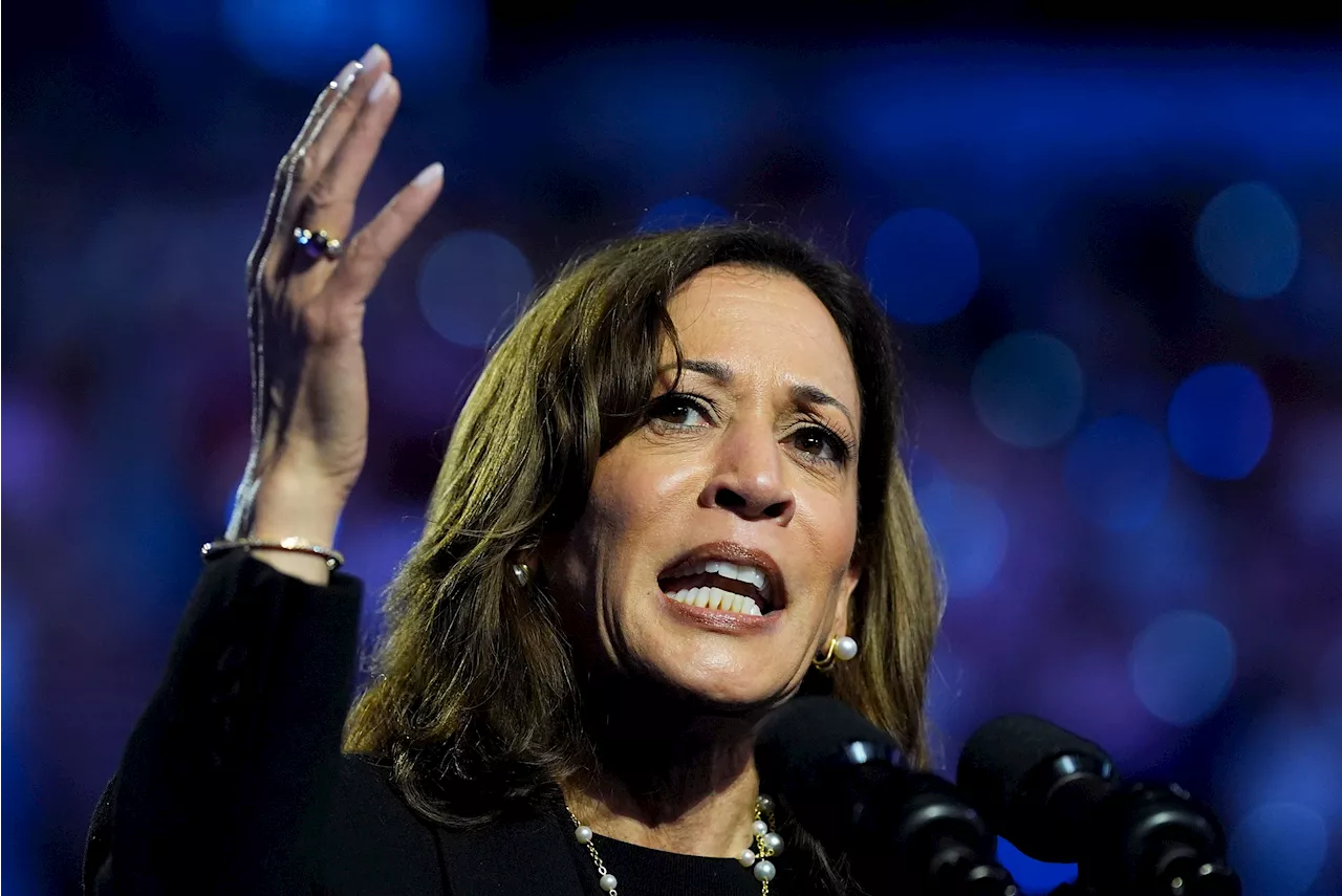 Harris promises to 'represent all Americans' after Biden's remark on Trump supporters and 'garbage'