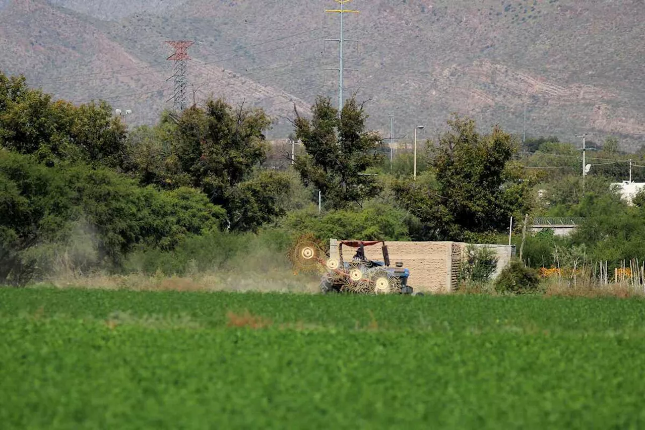 El 60 por ciento del comercio en San Pedro, Madero y Matamoros, depende del sector agropecuario