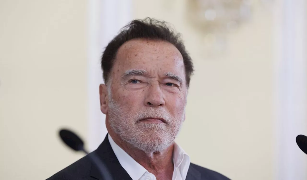 Arnold Schwarzenegger unterstützt Harris – obwohl er Republikaner ist