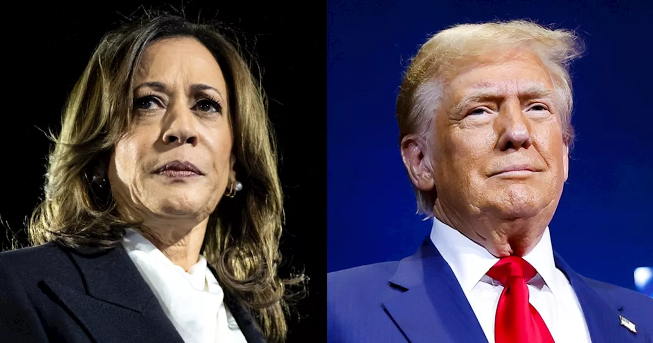 Election 2024 live updates: Trump and Harris campaign in Sun Belt states out West