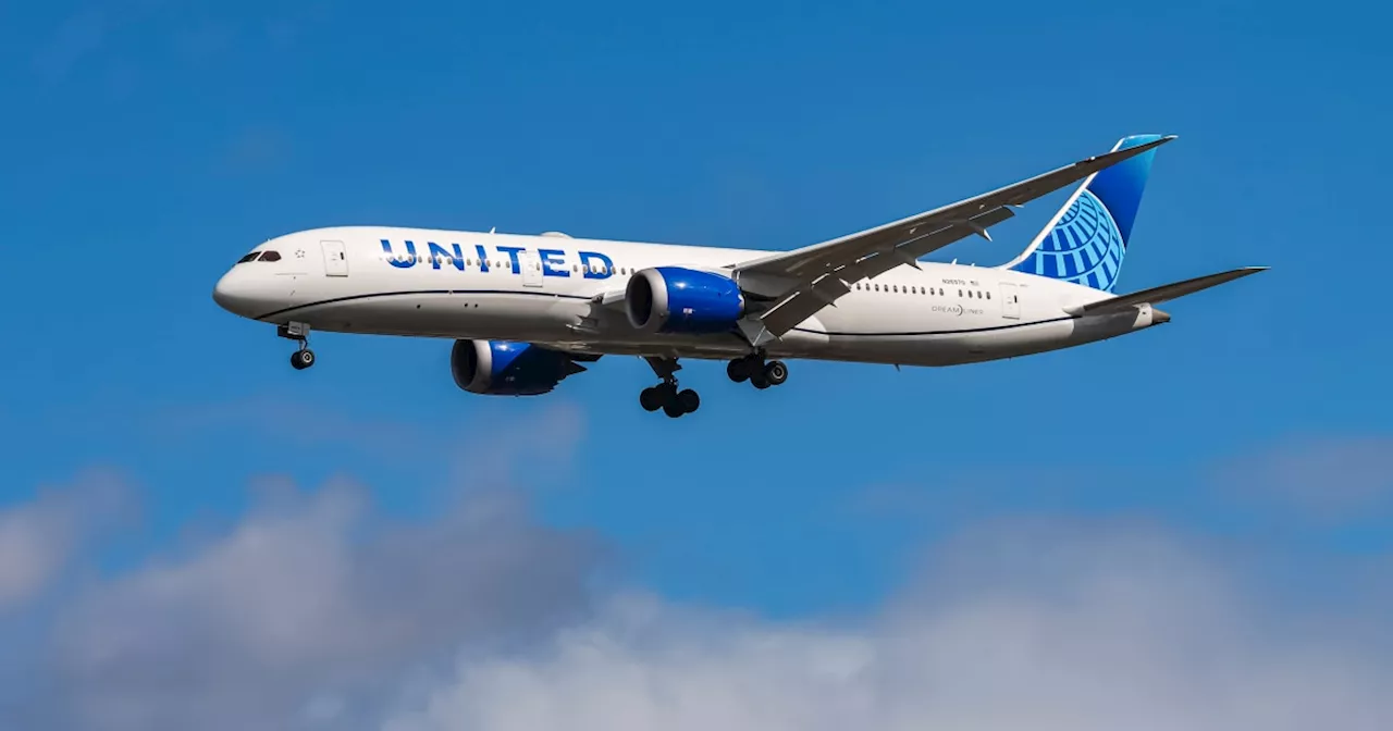 Man allegedly pummels sleeping passenger in the face in bloody unprovoked attack on United Airlines flight