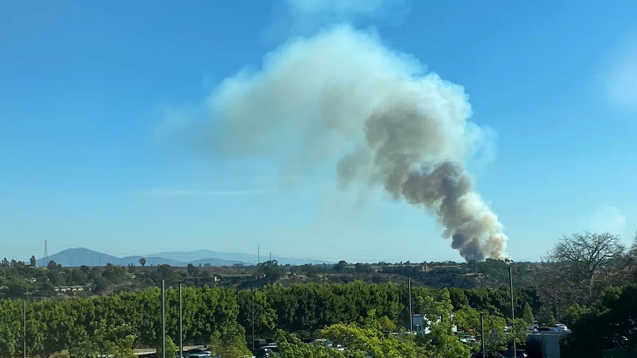 Watch LIVE: Firefighters battle vegetation fire near the College Area of San Diego