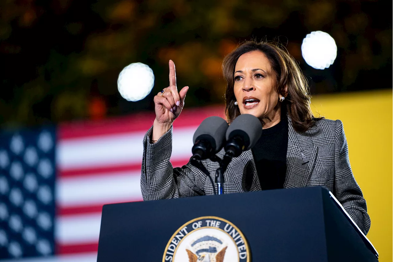 Signs Kamala Harris Could Win Are 'Clear as Day'—Election Forecaster