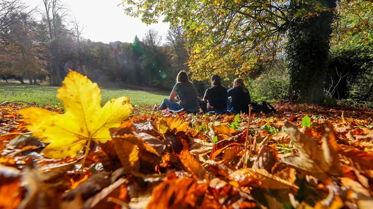 Oktober-Bilanz: Kein neuer Rekord, aber um rund zwei Grad zu warm