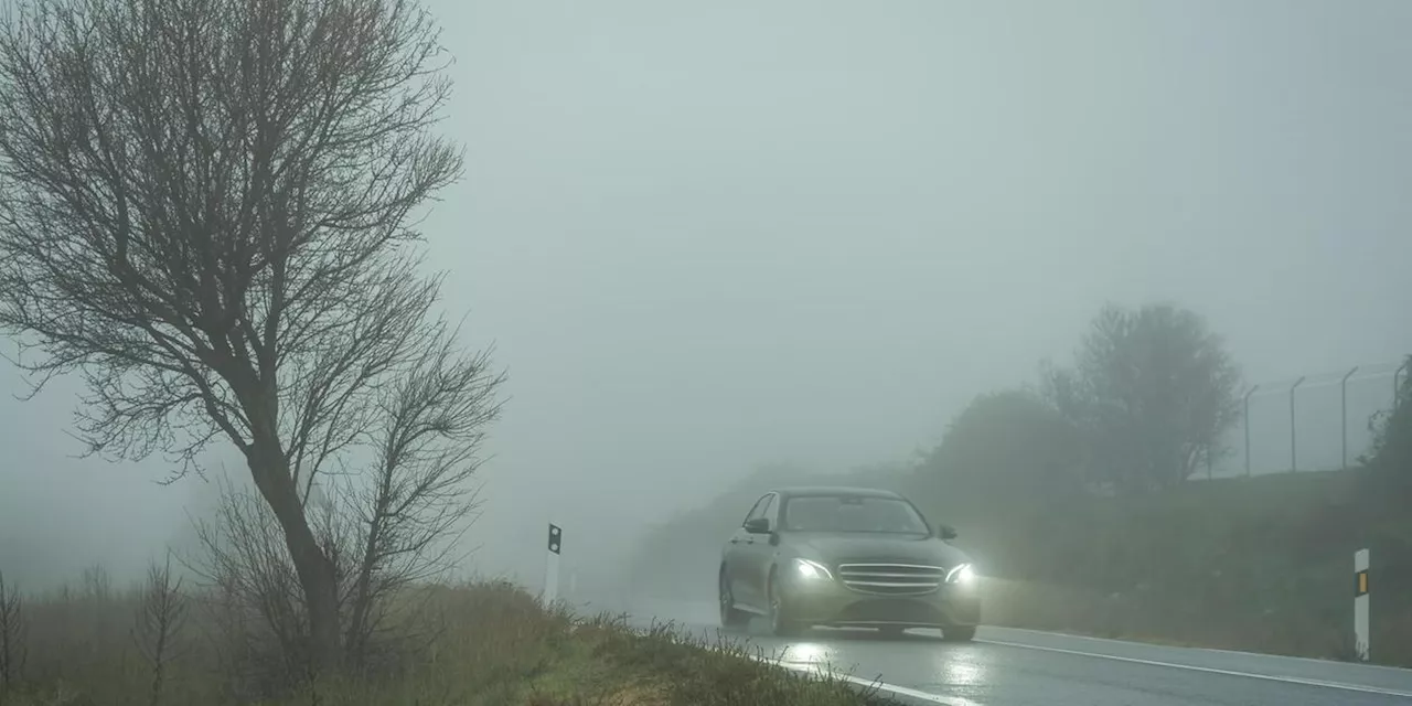 Schlechte Sicht bei Nebel: Diesen gef&auml;hrlichen Fehler machen viele Autofahrer