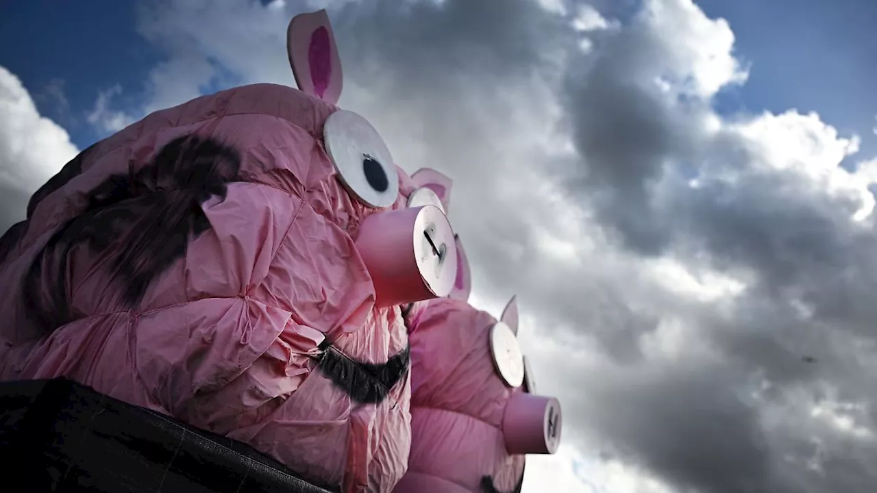 Nordrhein-Westfalen: Wolken und Sprühregen in NRW - gelegentlich lockert es auf