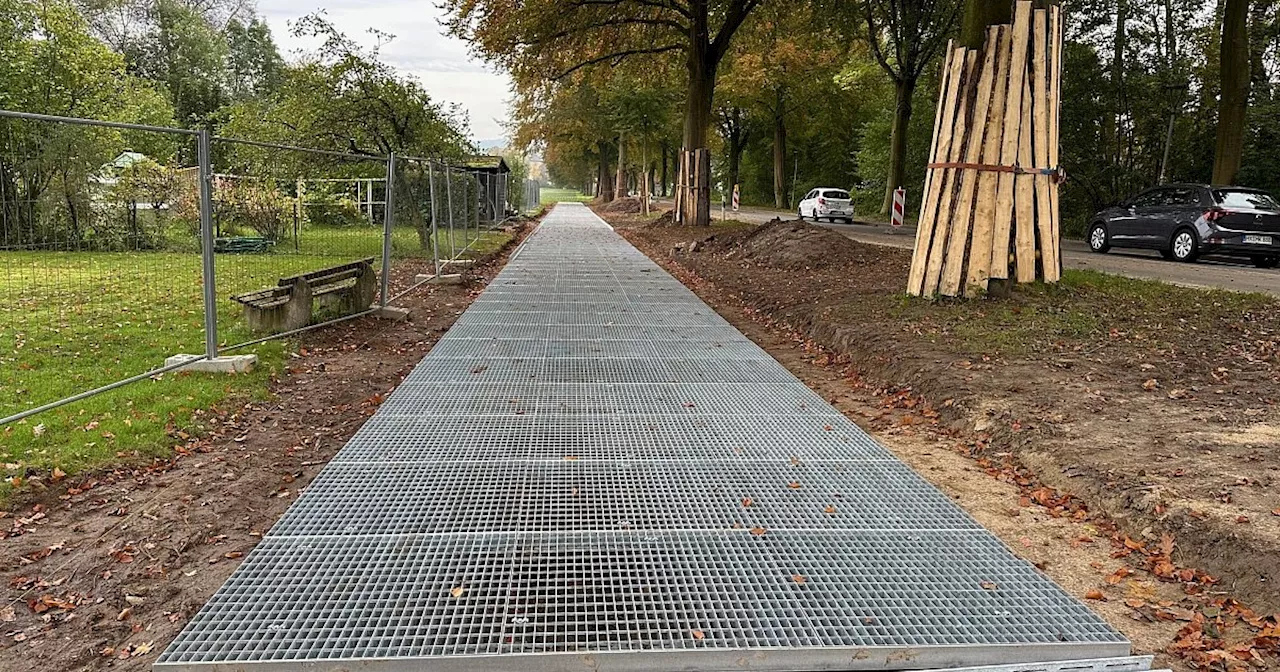 Metallgitter an Corveyer Allee in Höxter haben besondere Funktion