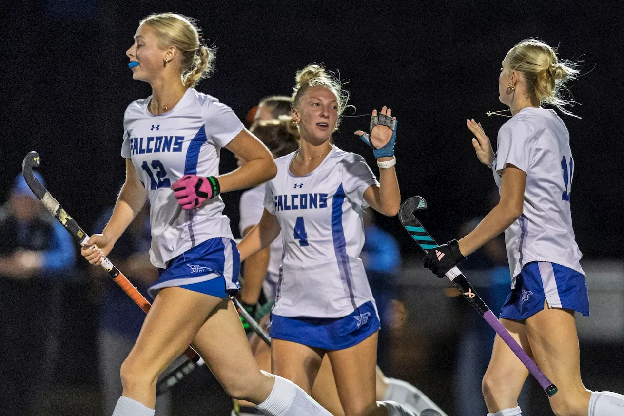 Lower Dauphin field hockey punches ticket to D3, 3A final with shutout win over Wilson