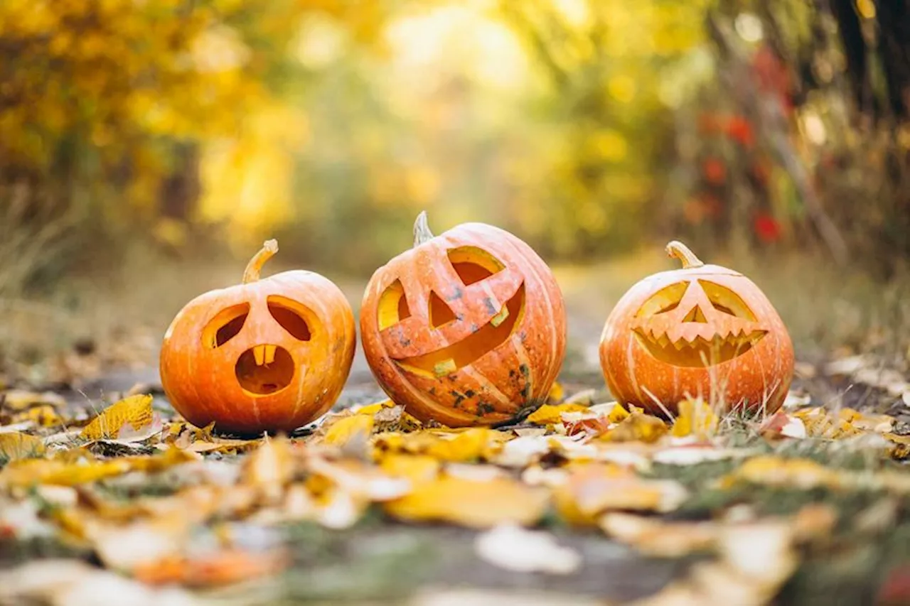 Kanton Obwalden: Tipps für ein sicheres Halloween