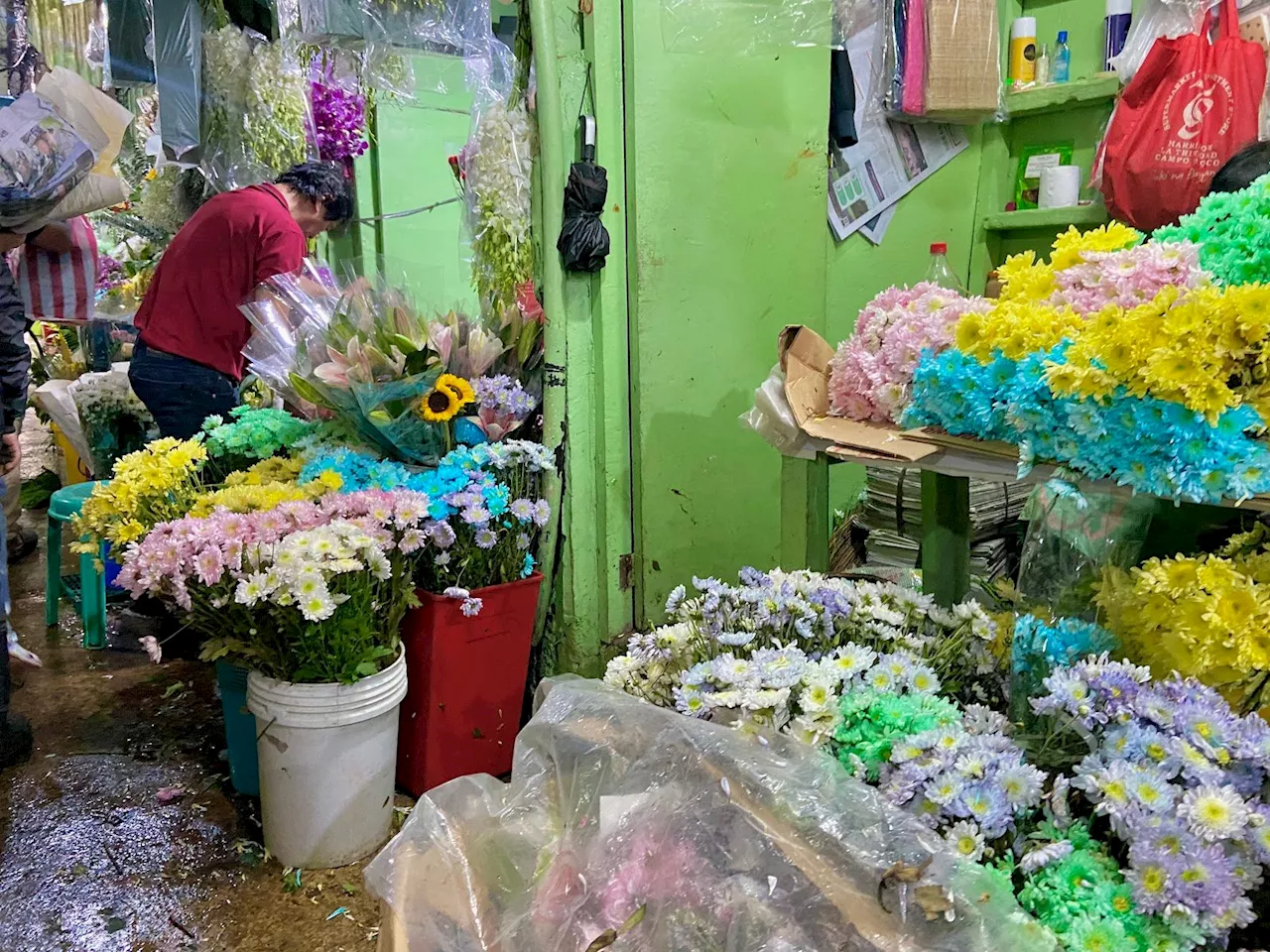 Baguio flower vendors brace for losses as rains impact Undas