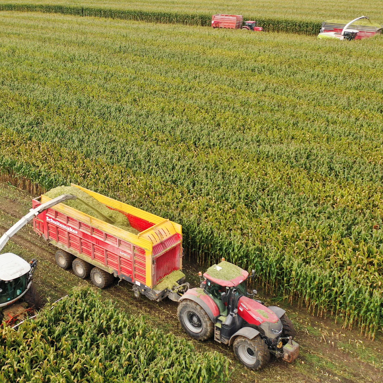  Agriculture : plus qu'une visite de contrôle par an dans les exploitations agricoles