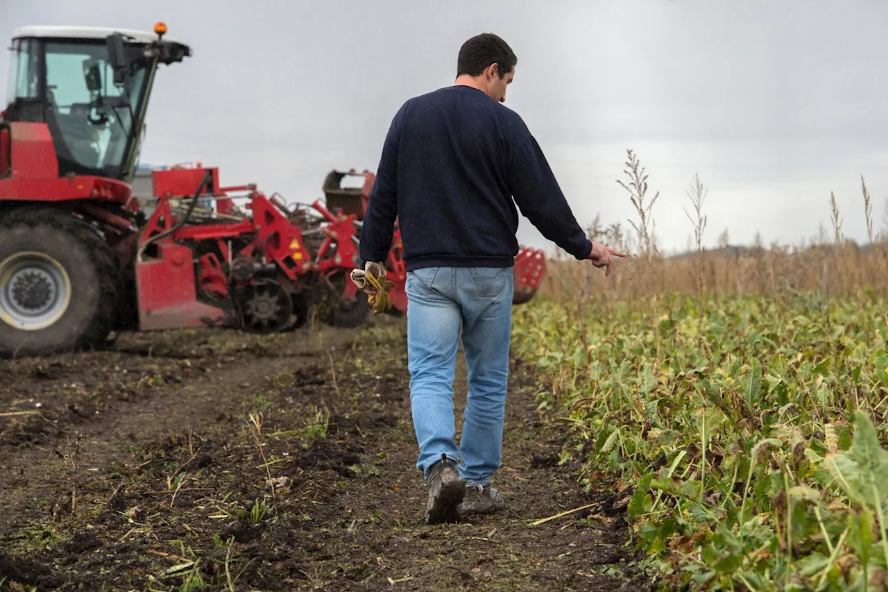 Colère des agriculteurs : l'allègement des contrôles apaisera-t-il les tensions ?