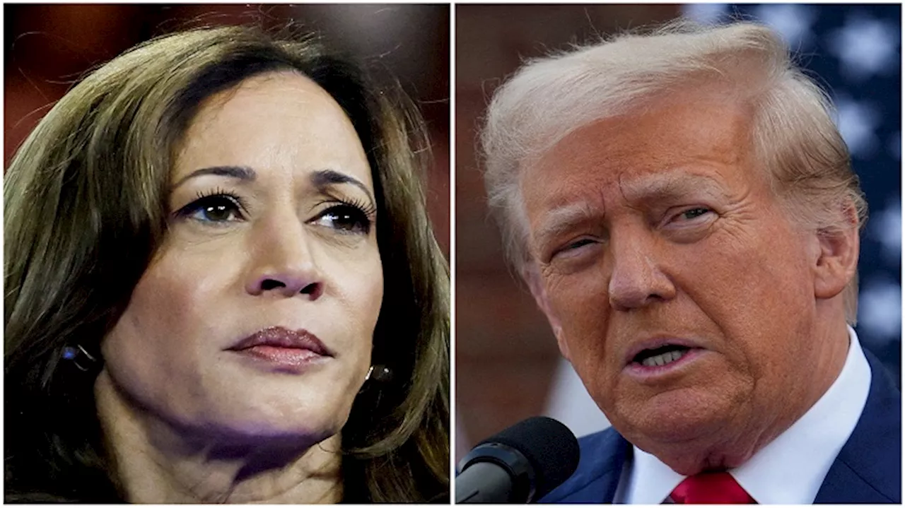 Trump vs Harris: How the US electorate splits ahead of Election Day - SABC News