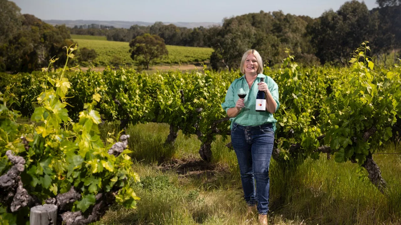 $50 Aussie red wins big at prestigious wine show