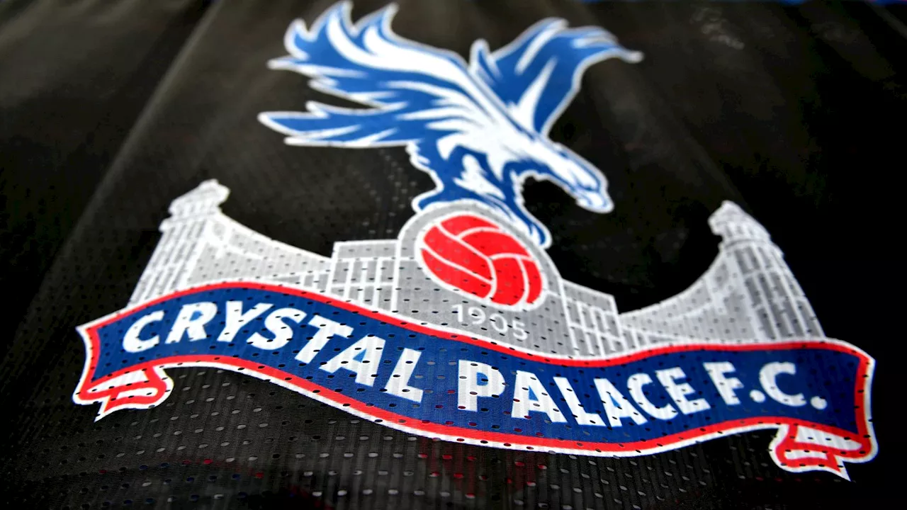 Crystal Palace: Keith Harris spearheading bid to buy 45 per cent stake in Premier League club