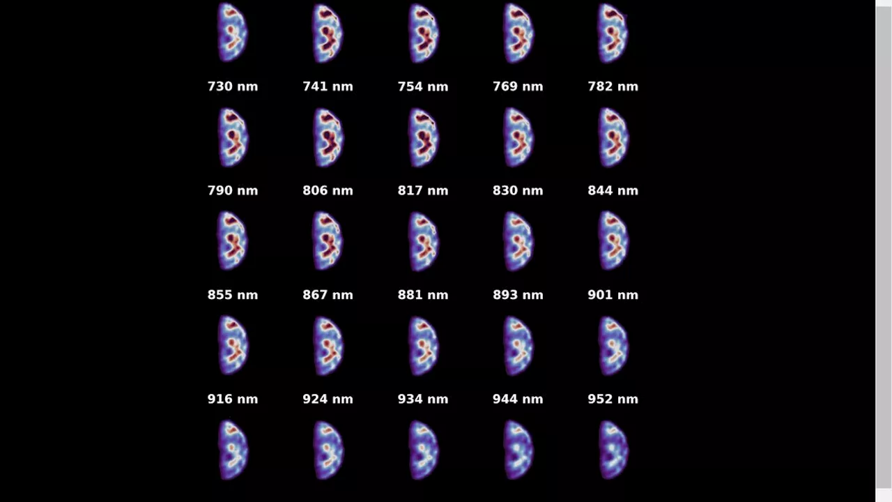 Earth sure looks spooky in these 'hyperspectral' images from Europe's Hera asteroid probe