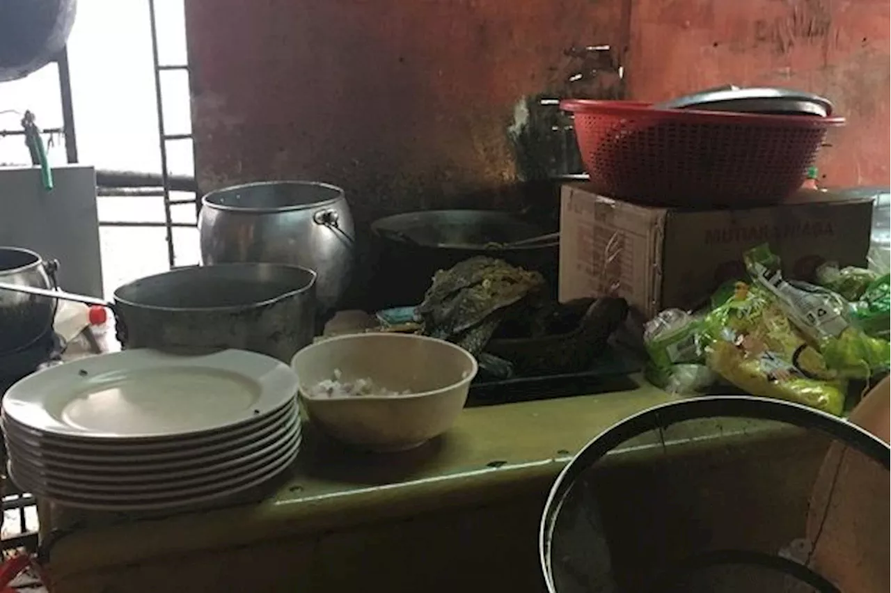 Hygiene violations lead to closure of two eateries in Batang Kali