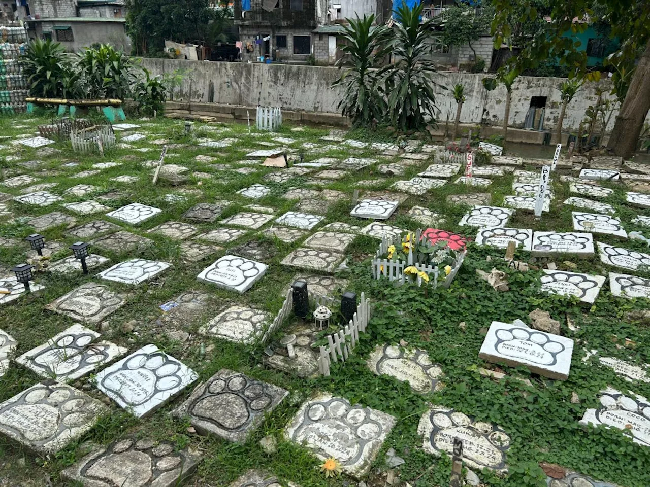 Remembering our furry family: Filipinos honour deceased pets, strays