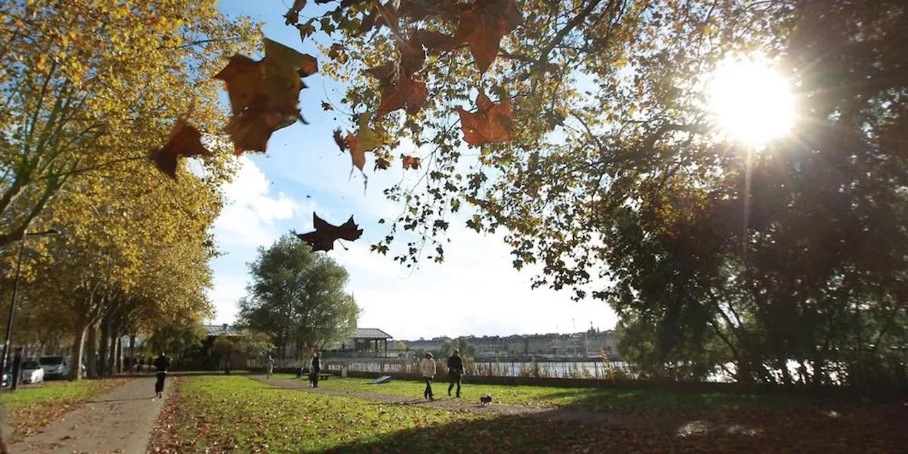 Soleil, douceur dans le Sud-Ouest : à quelle météo s’attendre pour ce long week-end de la Toussaint ?