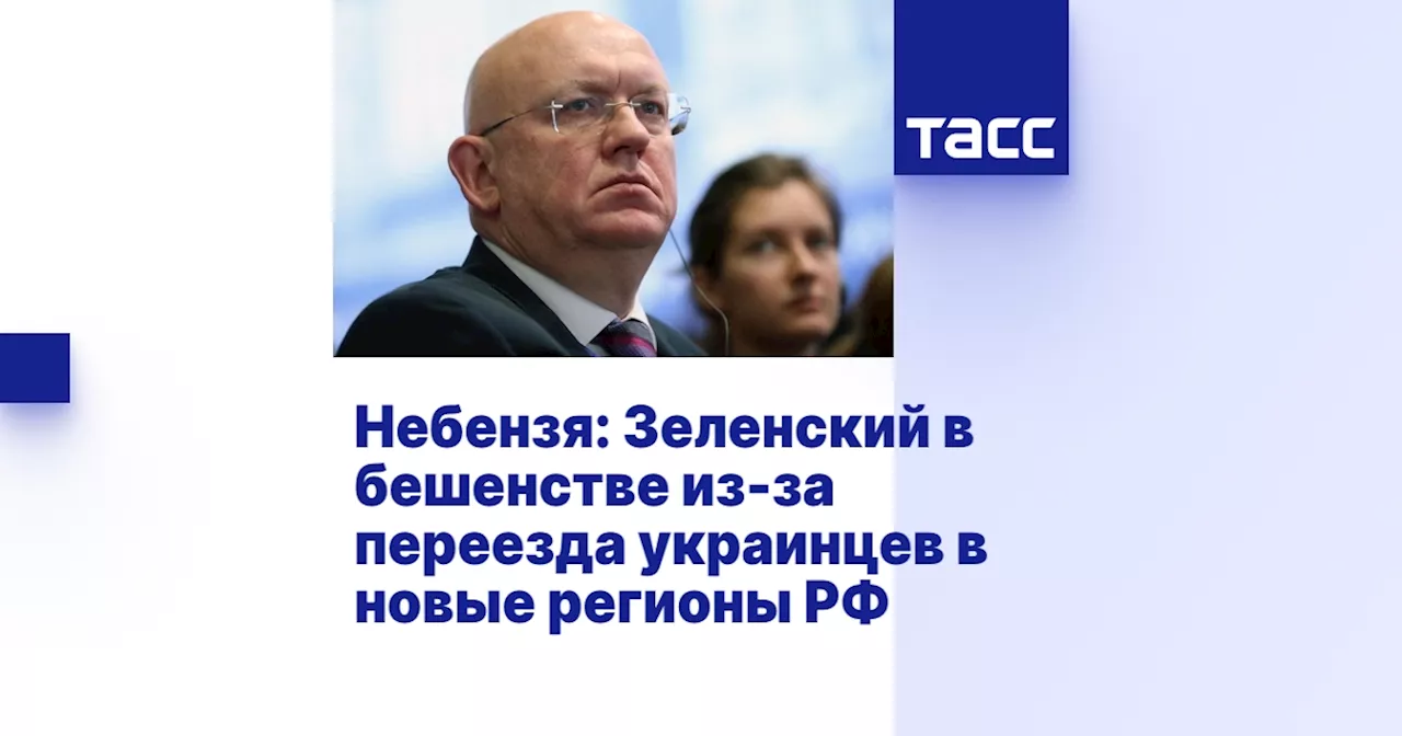 Небензя: Зеленский в бешенстве из-за переезда украинцев в новые регионы РФ