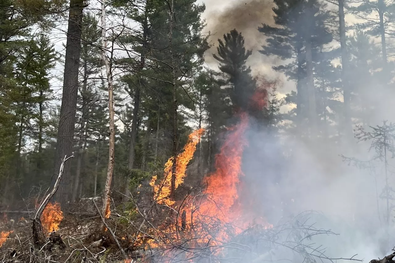 Quiet fire season attributed to widespread spring rainfall