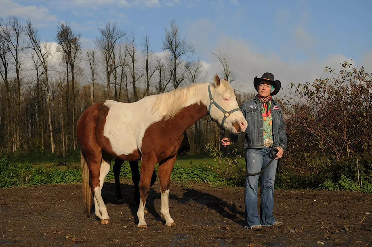 B.C. saddle bronc rider to make North American history in Cowgirl Hall of Fame