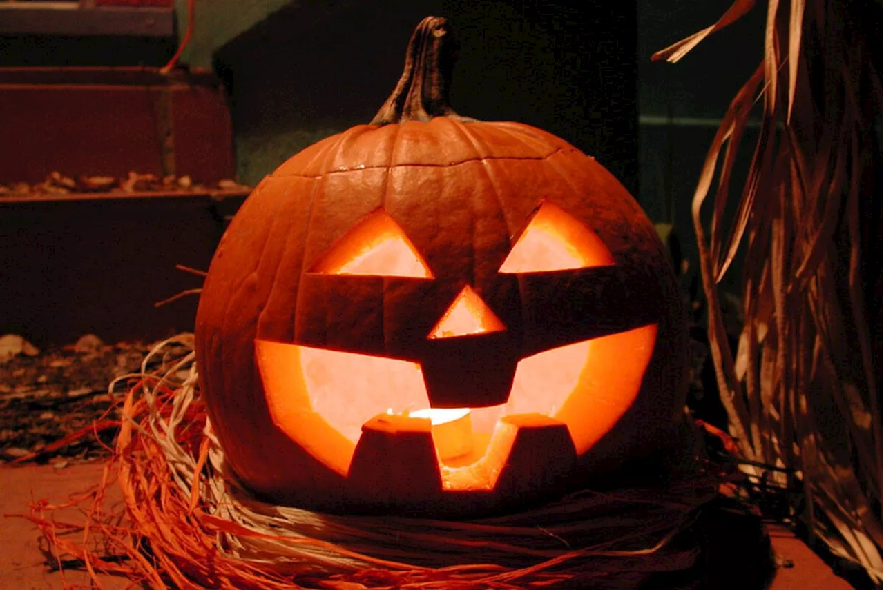 From black cats to pumpkins: unraveling origins of Halloween symbols