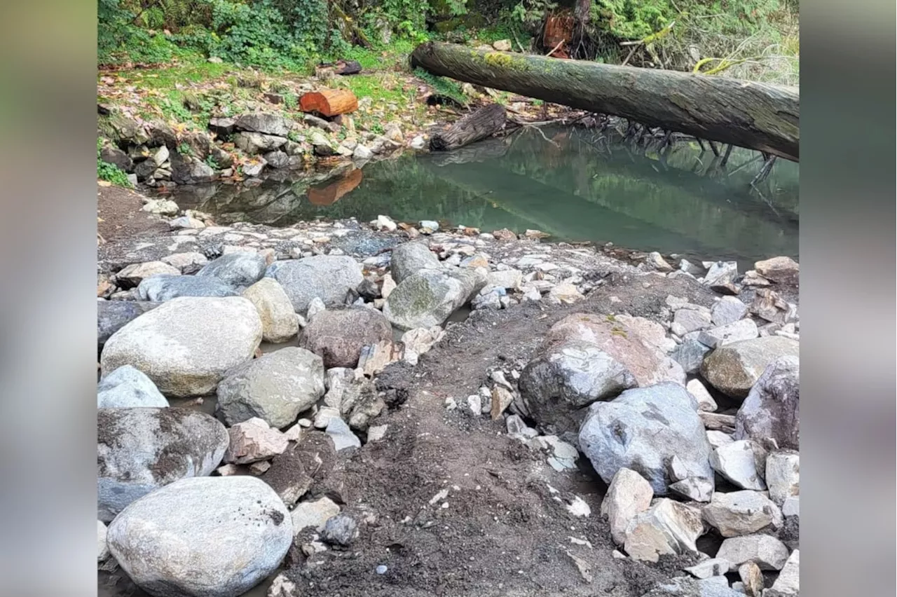 Harrison mayor, resort management meet over destroyed hot springs pools