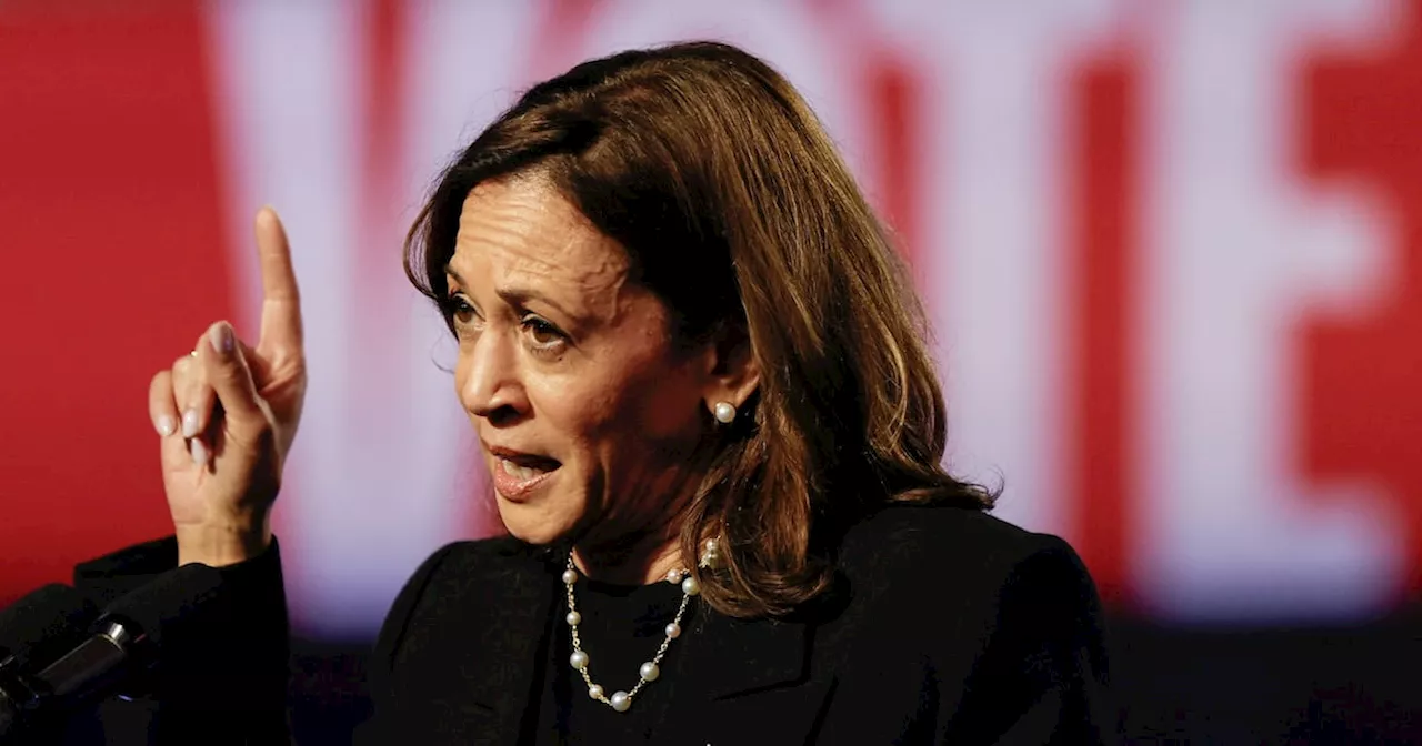 Bedwetting Democrats Start the Blame Game Early Over Potential Harris Loss