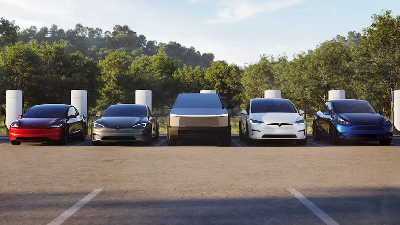 Tesla Philippines will be officially introduced on November 8, 2024