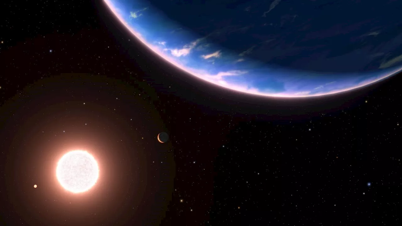 Webb Reveals a Steam World Planet Orbiting a Red Dwarf