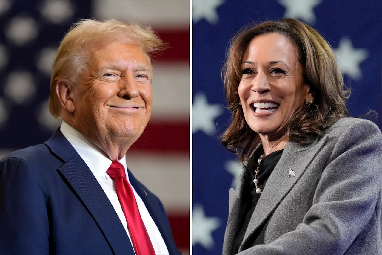 Trump ou Kamala? Saiba a preferência política dos sete bilionários mais ricos