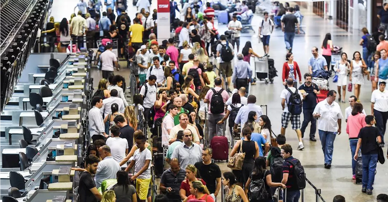 Governo divulga novas medidas de segurança para transportar pets em avião