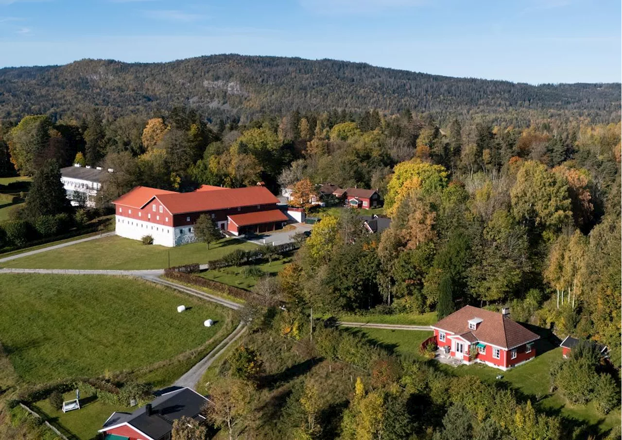 Politiet om Høiby-pågripelse: Varslet livvakttjenesten