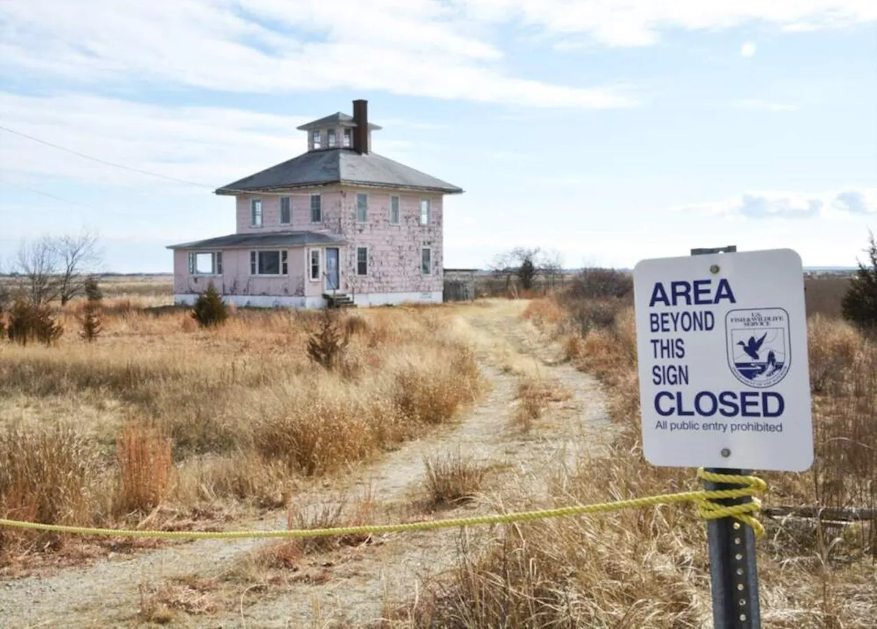 After donation, Healey says Pink House is safe from demolition