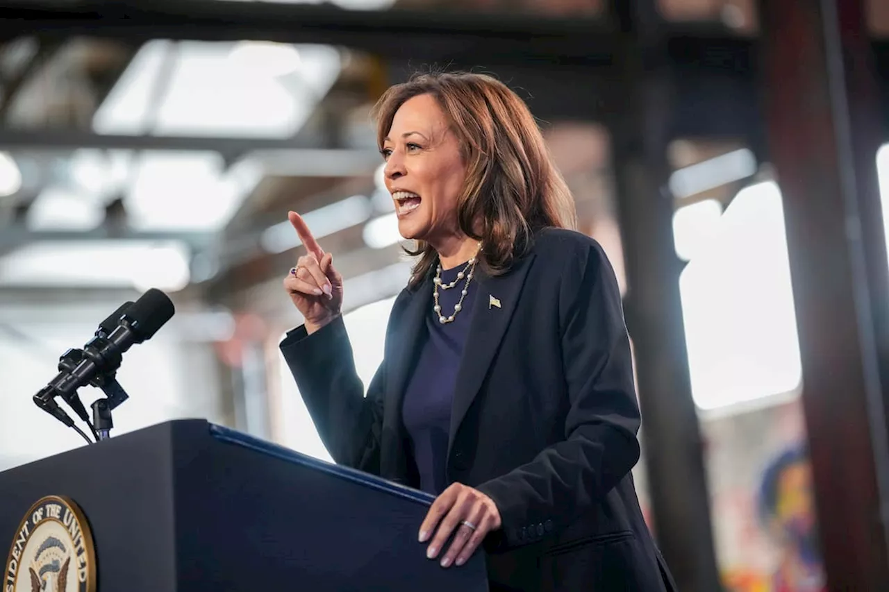 Elecciones EE.UU: ¿Cuál es la nacionalidad y ascendencia de Kamala Harris?