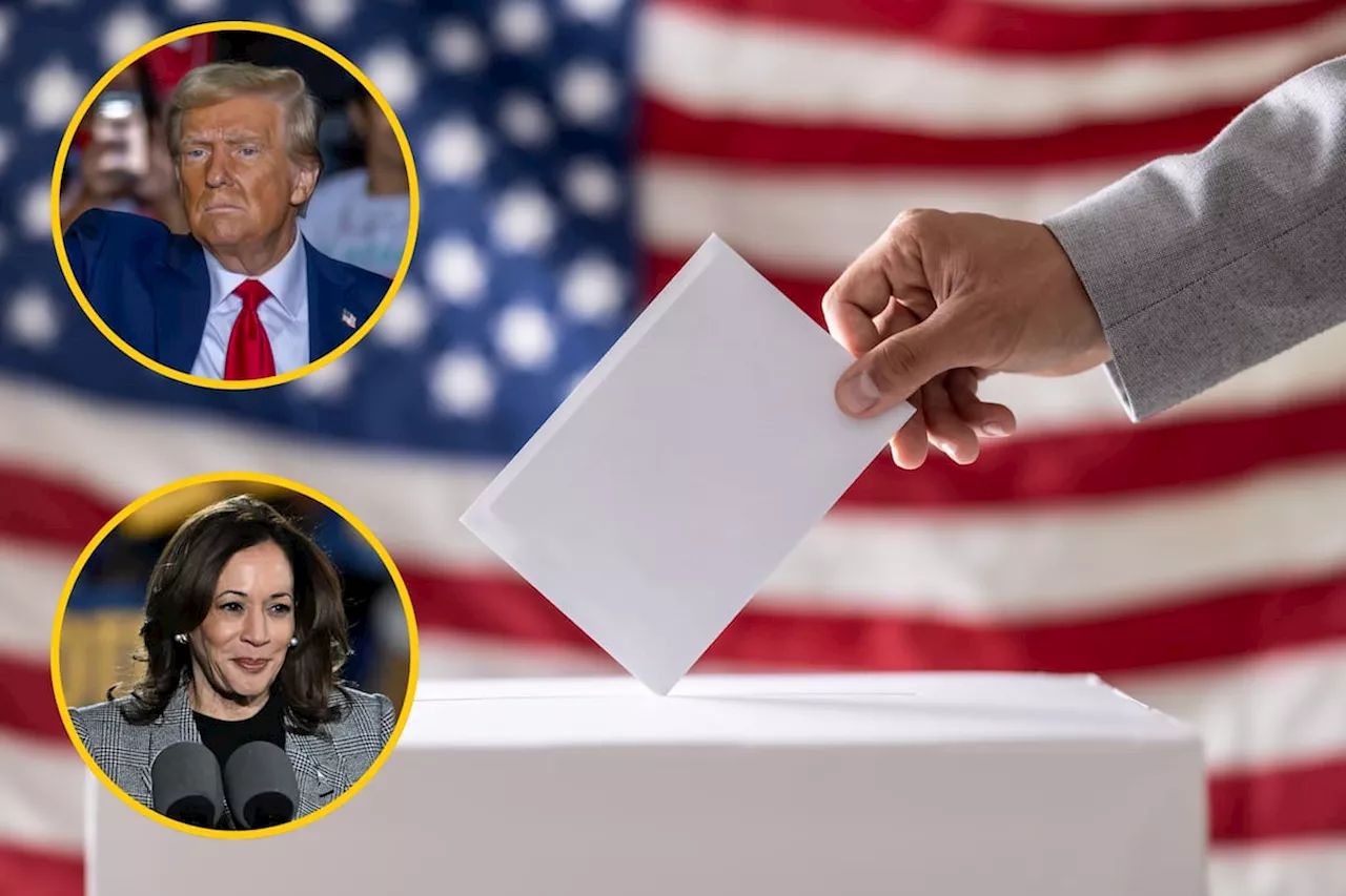 Los 7 estados claves en elecciones de Estados Unidos 2024: ¿por qué son tan importantes?