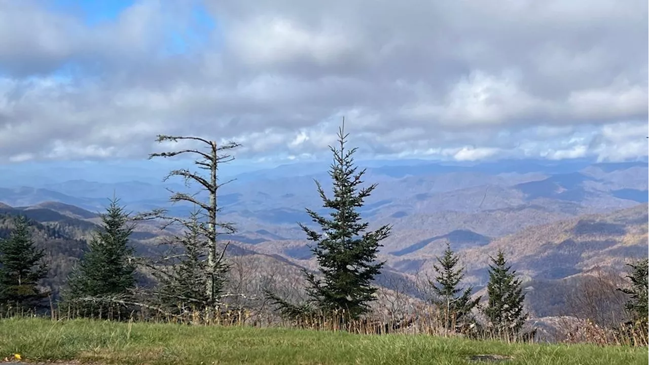 Nearly 55 miles of parkway restored, bringing hope and tourists back to WNC