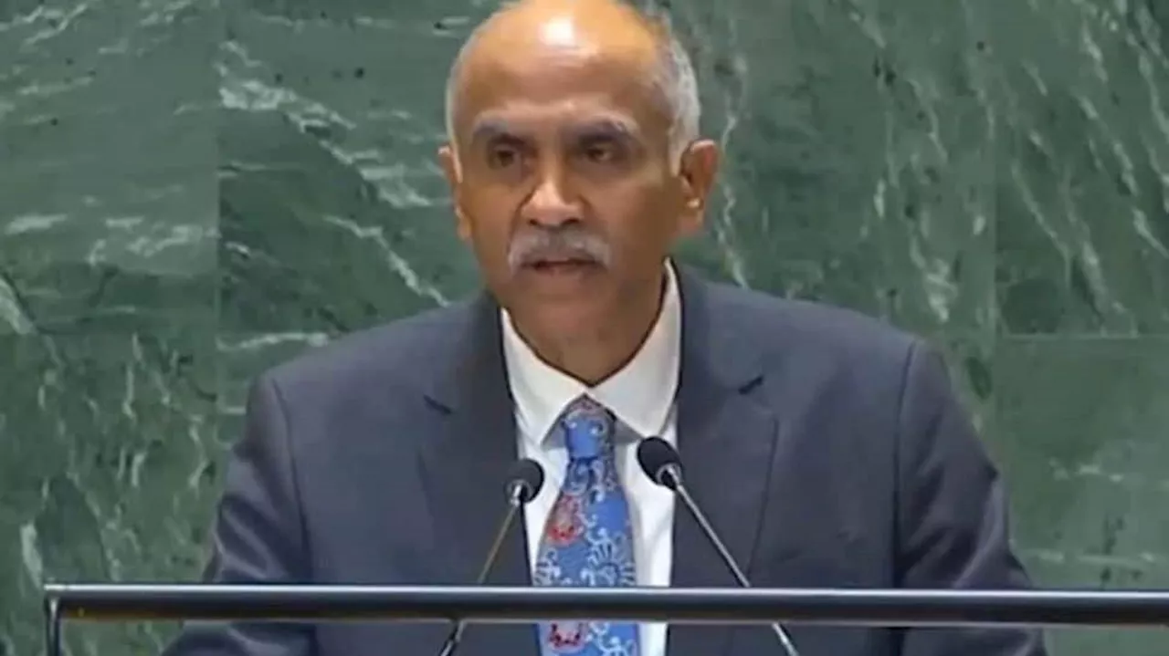 Ready To Do More For Palestinians People: India At UN On Middle East Situation