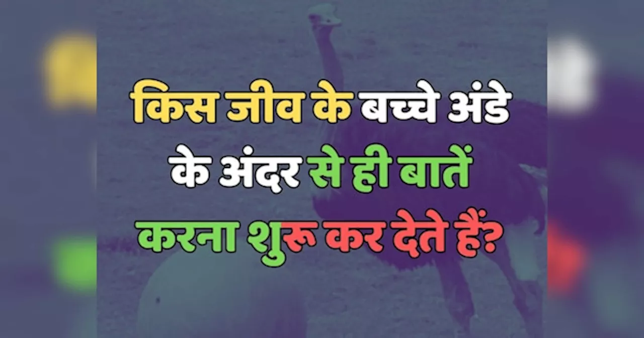 Trending Quiz : क्या आप जानते हैं, किस जीव के बच्चे अंडे के अंदर से ही बातें करना शुरू कर देते हैं?