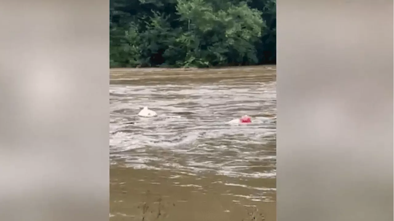 VIDEO: Dramatic water rescue in Western North Carolina ends in heartwarming story