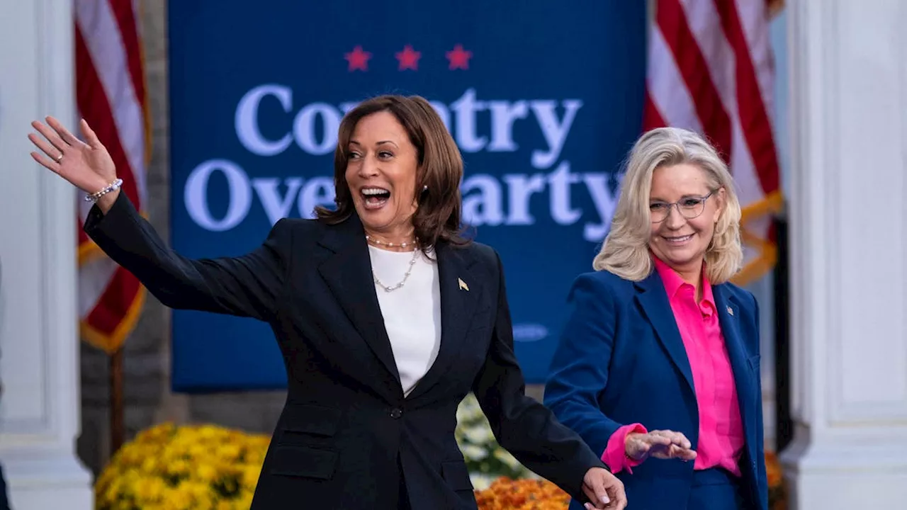 Liz Cheney gibt ihre Stimme «mit Stolz» Kamala Harris