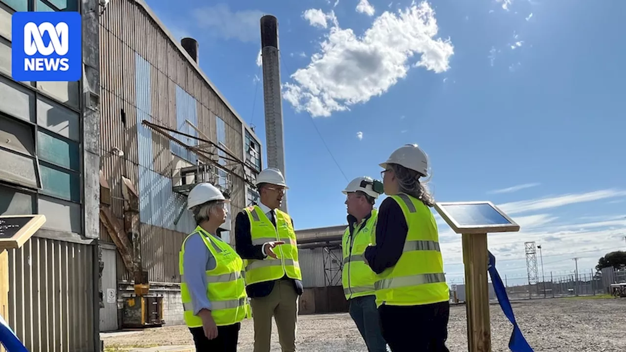 Mount Gambier's OneFortyOne Jubilee Sawmill to turn steam into renewable electricity