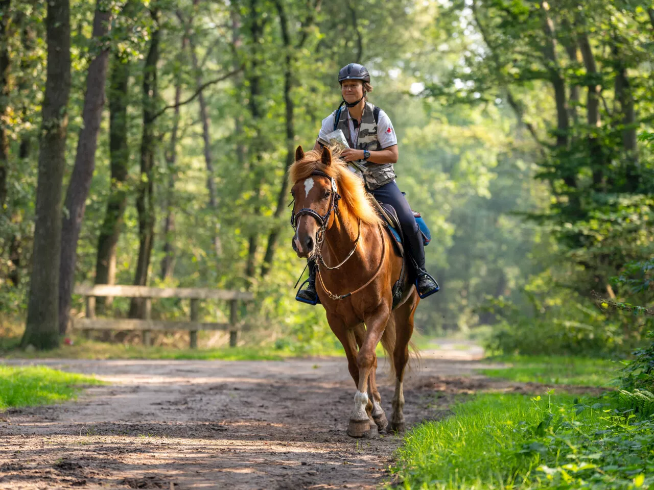 Dans l'Orne, Lisbeth est championne d'Europe de TREC : « le seul titre qui me manquait »