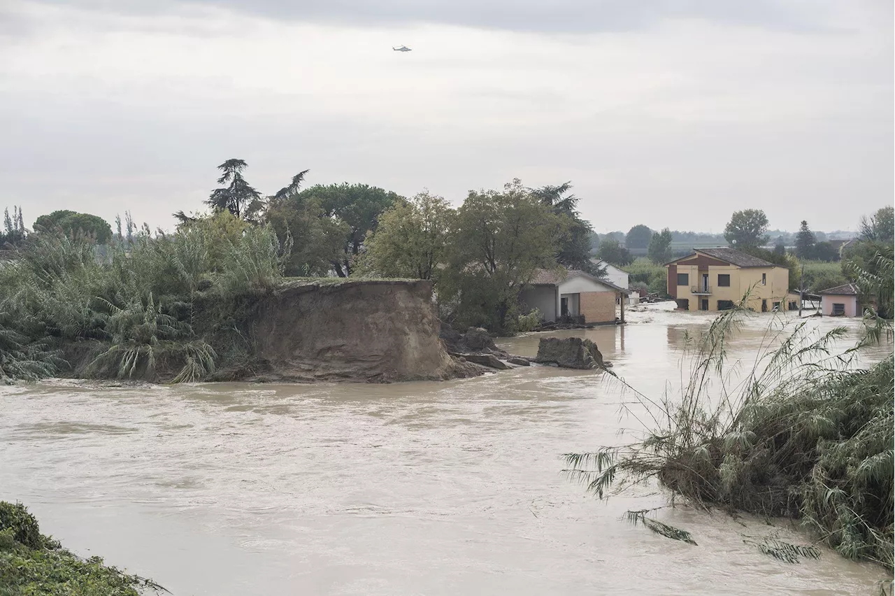 Maltempo Emilia-Romagna, allerta rossa: fiume Lamone rompe argine a Traversara