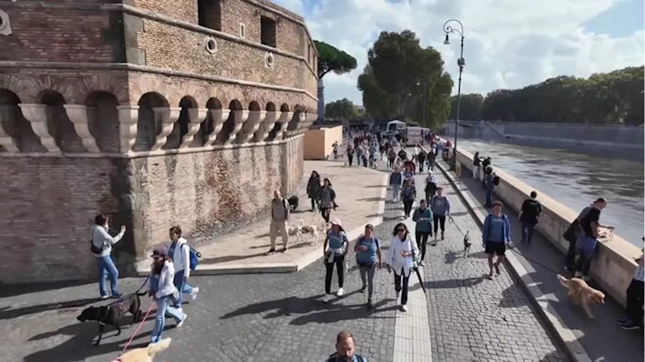 Il 'Cammino per gli animali' termina in Piazza San Pietro dopo 240 km