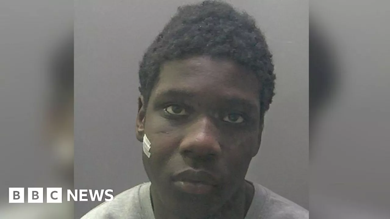 Peterborough drug dealer jailed after running into police